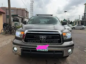 Toyota Tundra 2010 Gray