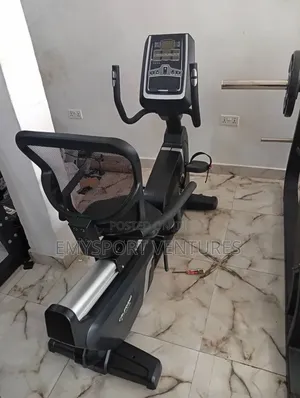 Commercial Heavy Duty Recumbent Exercise Bike