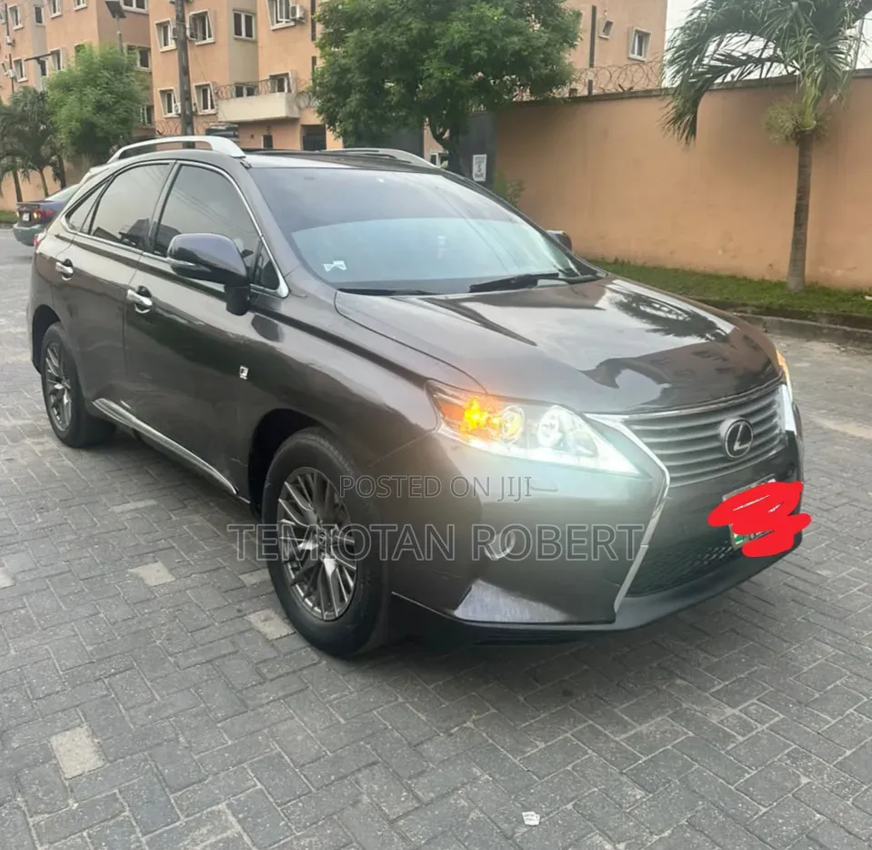 Lexus RX 350 2010 Gray