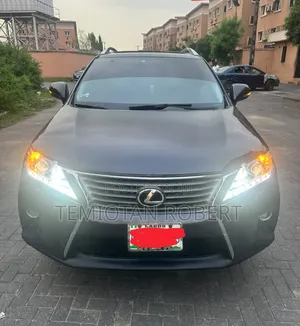 Lexus RX 350 2010 Gray