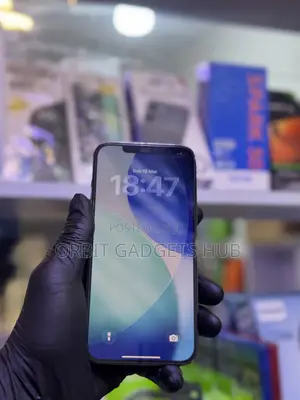 Apple iPhone 12 Pro Max 256 GB Blue