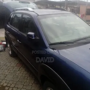 Hyundai Tucson 2009 Blue