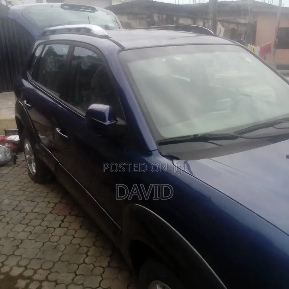 Hyundai Tucson 2009 Blue
