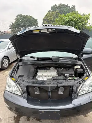Lexus RX 2006 Black