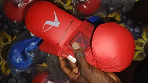 Karate Gloves