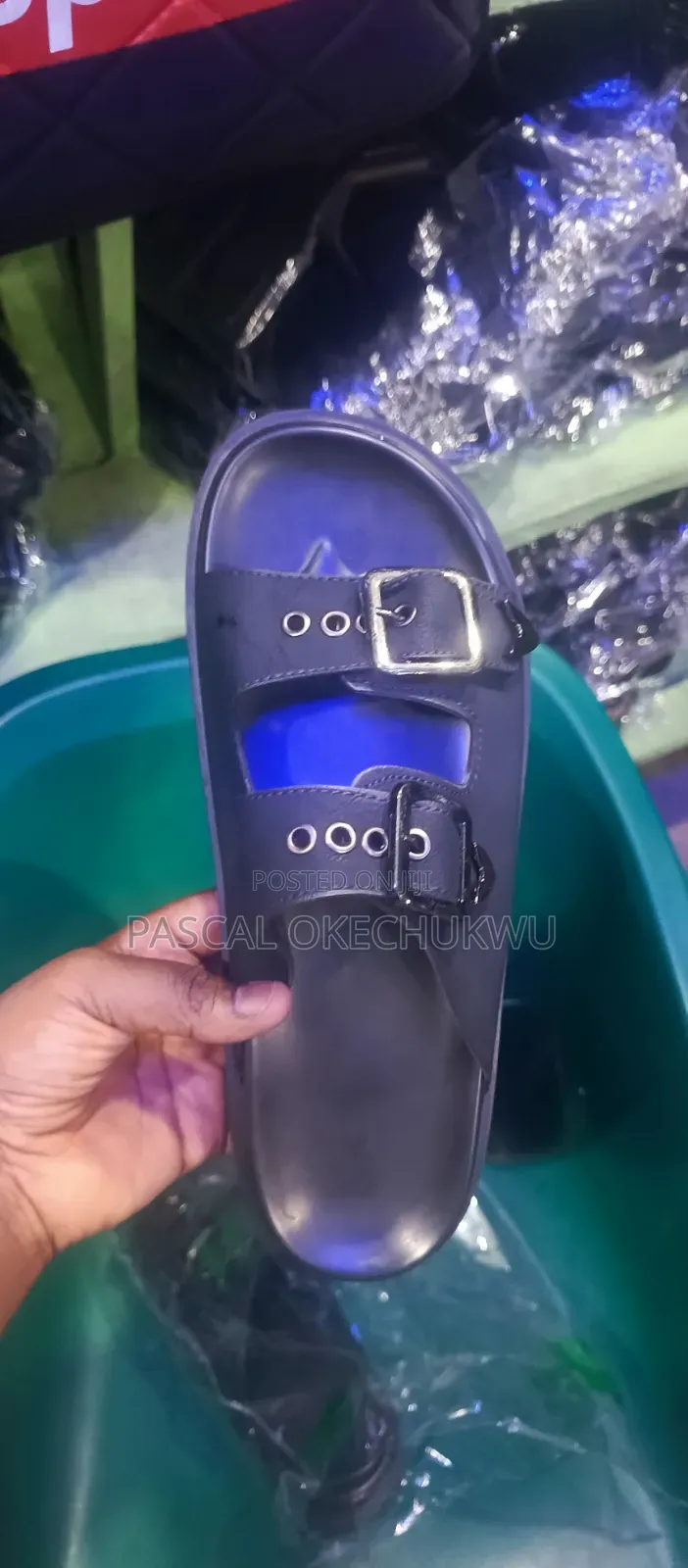 Pascol Palm