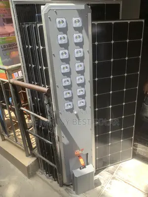 D2 100watts Felicity Solar Street Light