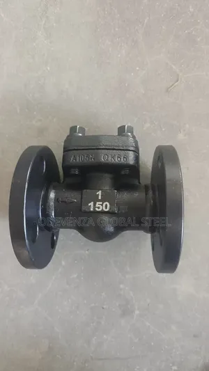 Steam Non Return Valve