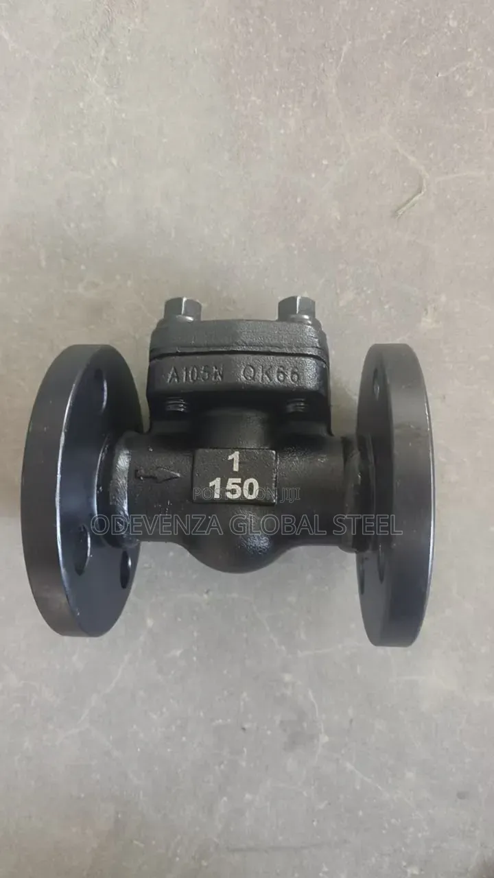 Steam Non Return Valve