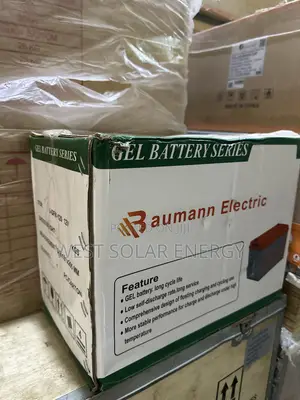 120Ah 12V Raumann Electric Dry Cell Battery