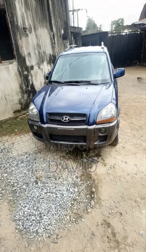 Hyundai Tucson 2009 Blue