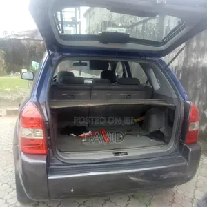 Hyundai Tucson 2009 Blue