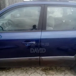 Hyundai Tucson 2009 Blue