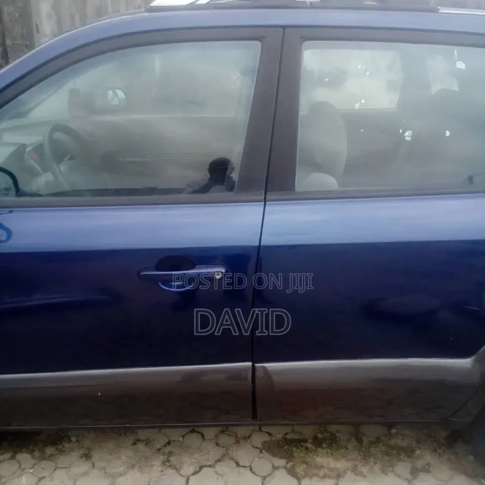 Hyundai Tucson 2009 Blue