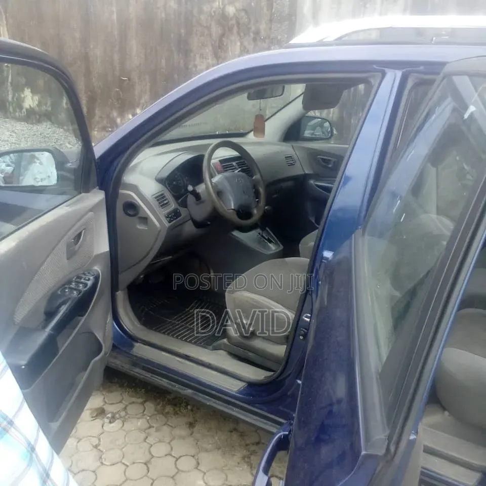 Hyundai Tucson 2009 Blue
