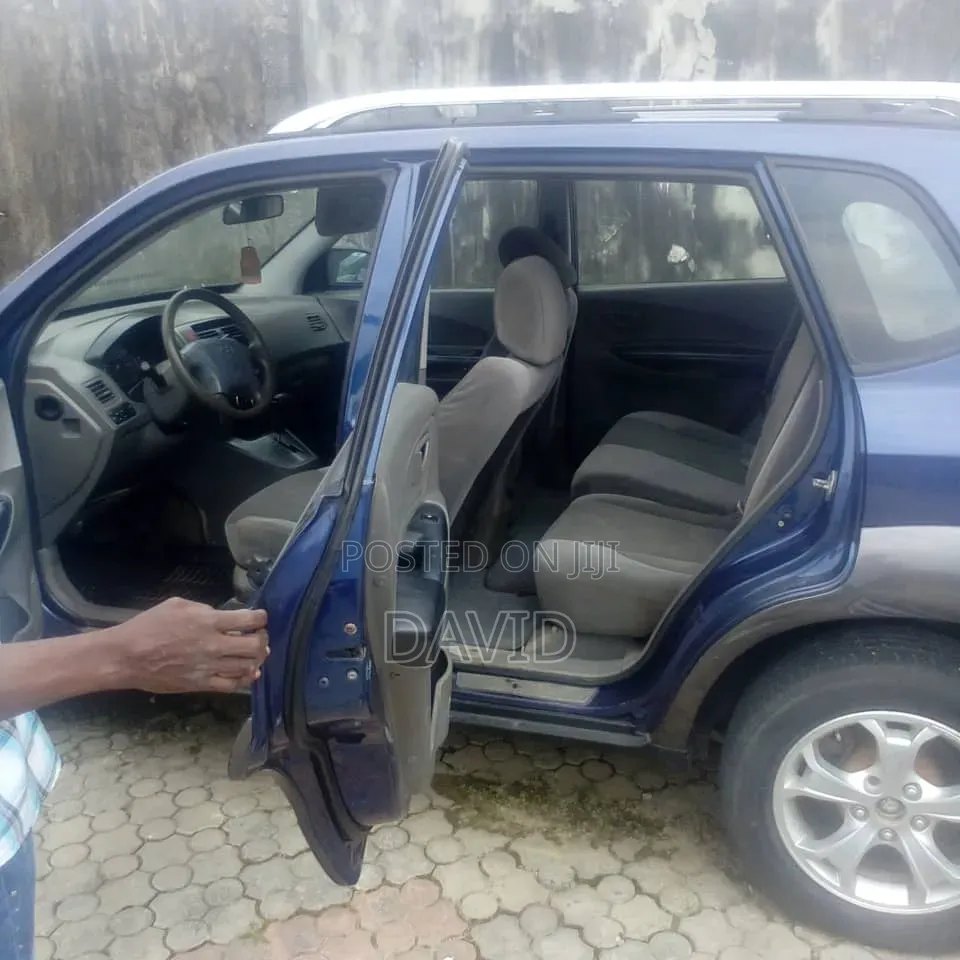 Hyundai Tucson 2009 Blue