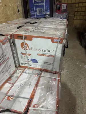 Delicity 250ah 12 Tubular Battery