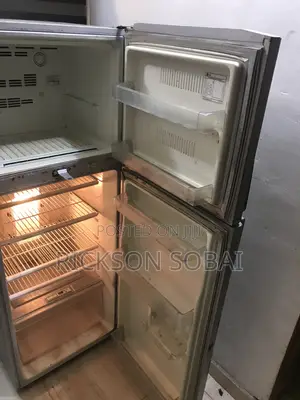 Double Door LG Refrigerator