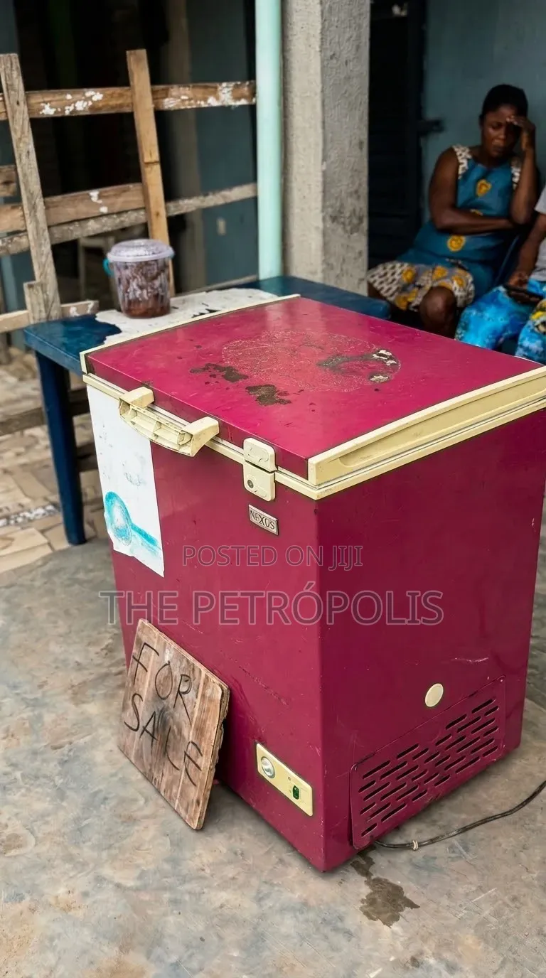 Portable Deep Freezer for Sale