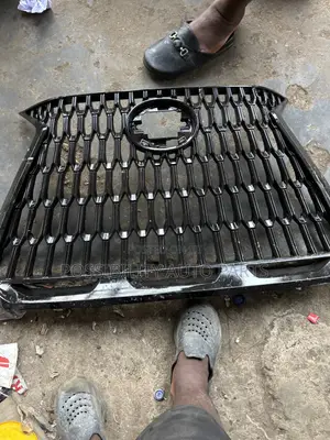 New Design Front Grille for Nx 300h