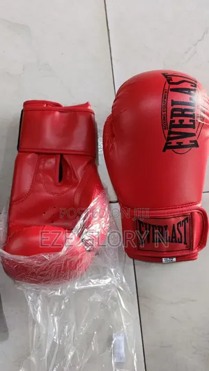 Everlast Boxing Glove