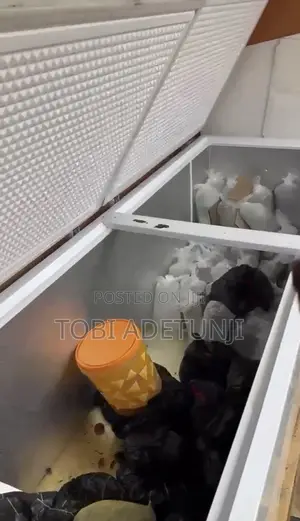 Extra-Large Double-Door Chest Freezer Available for Sale