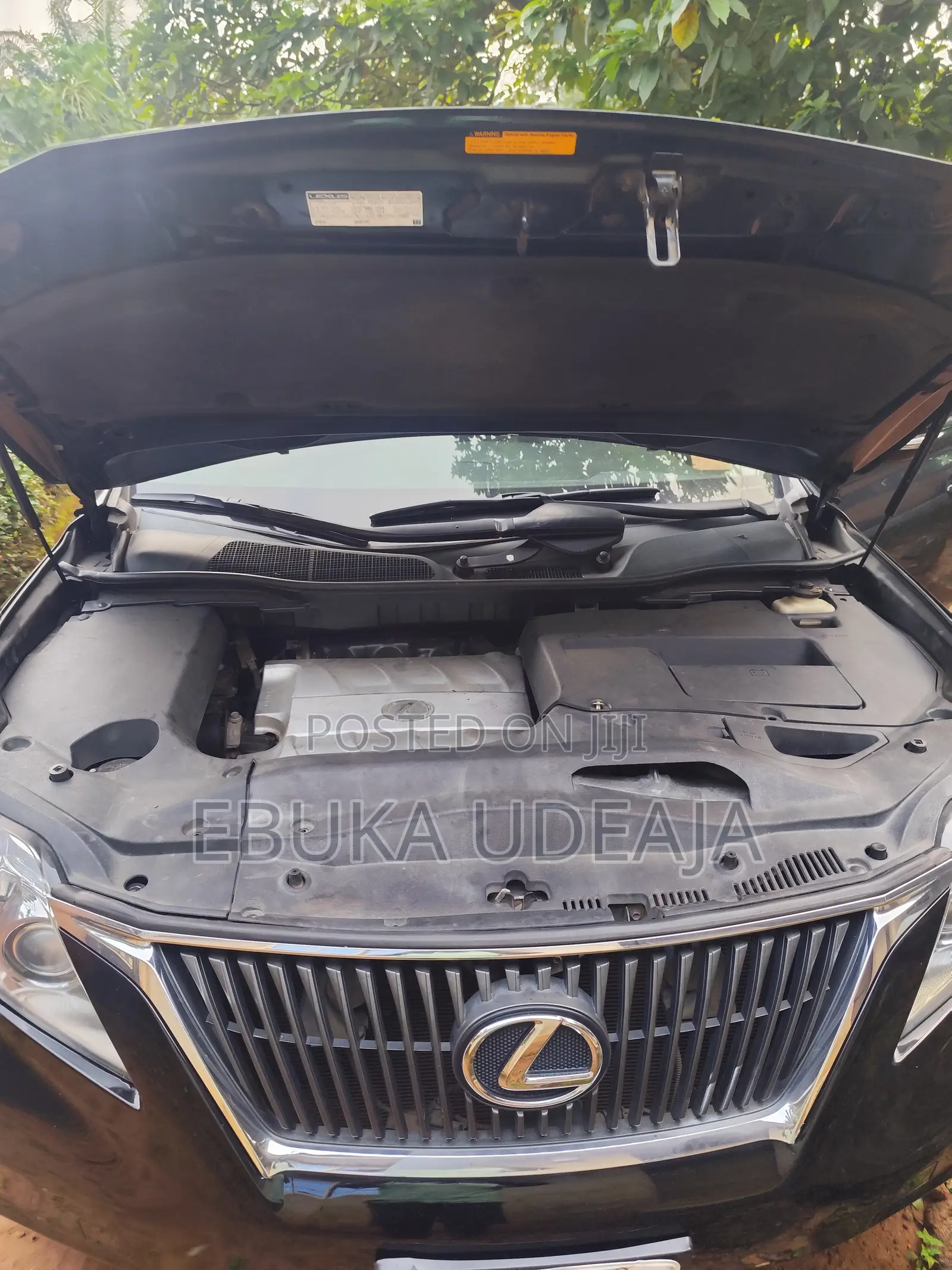 Lexus RX 2010 Black