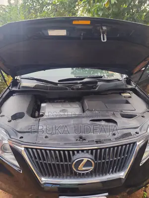 Lexus RX 2010 Black