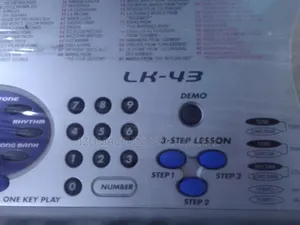 Casio LK-43 Lighted Keys Keyboard for Beginners