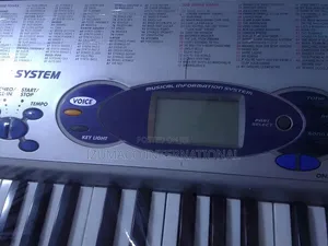 Casio LK-43 Lighted Keys Keyboard for Beginners