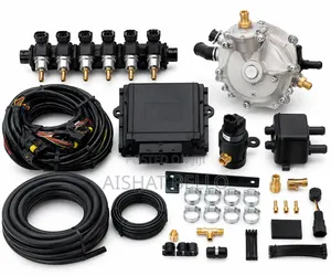 6 Plug CNG Conversion Kit for Vehicle Conversion