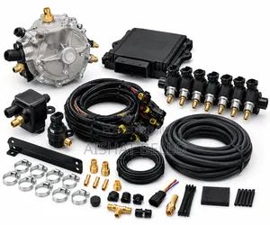 6 Plug CNG Conversion Kit for Vehicle Conversion