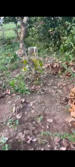 Land for Sell
