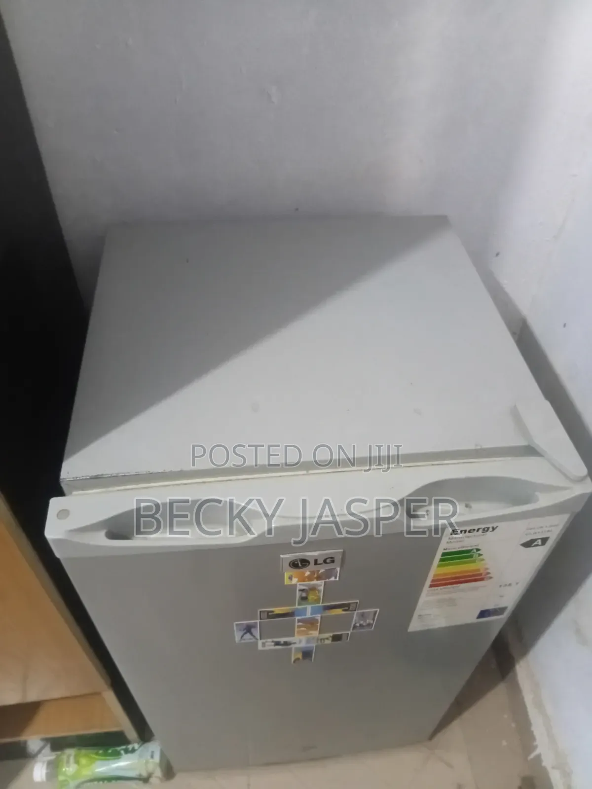 Mini Fridge