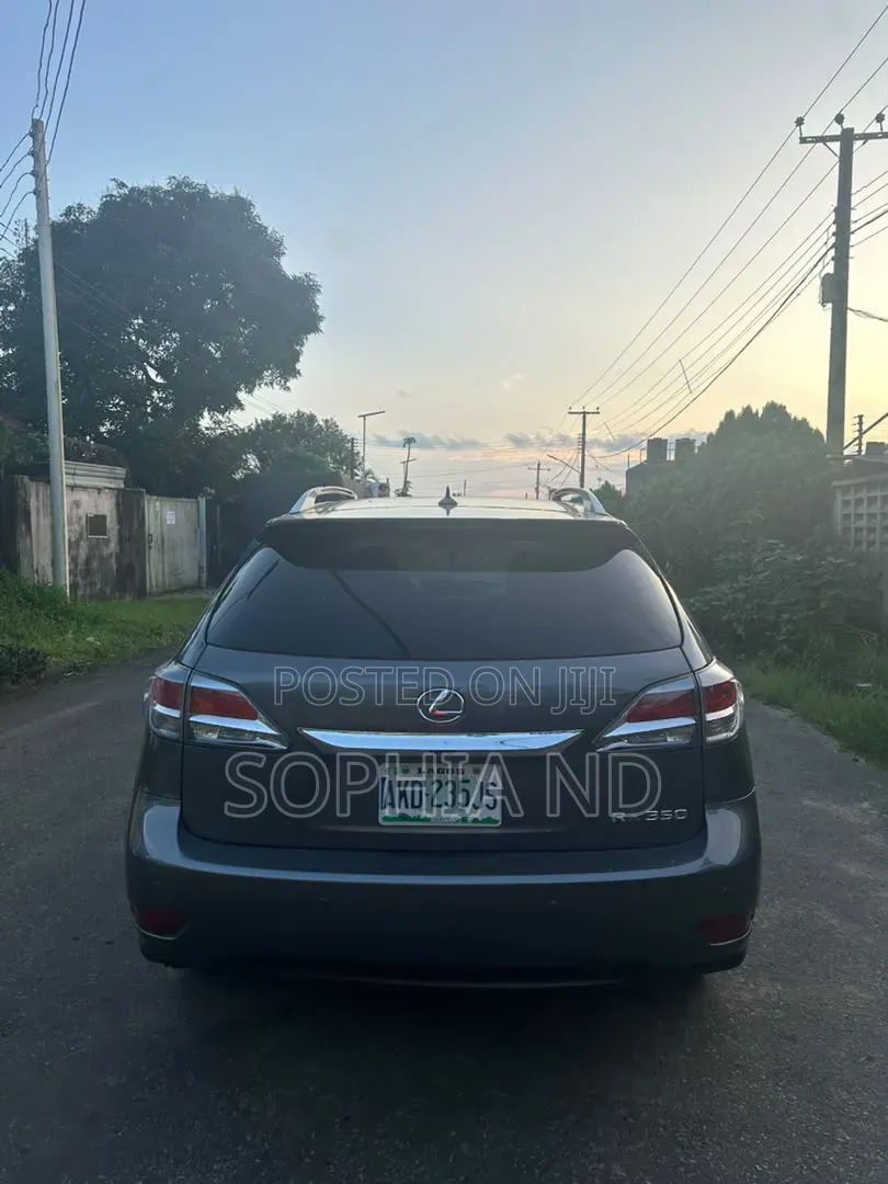 Lexus RX 2013 Gray