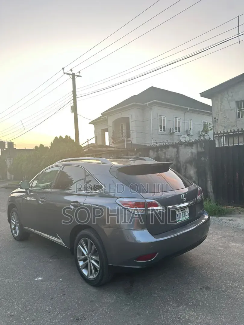 Lexus RX 2013 Gray