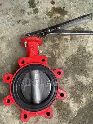 5” Butlerfly Valve