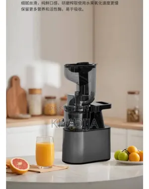 Slow Juicer