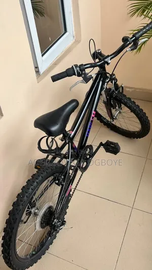 Bicycle - 20" Wheels