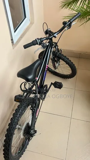 Bicycle - 20" Wheels