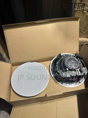 2 in 1 Ceiling Bluetooth Speaker