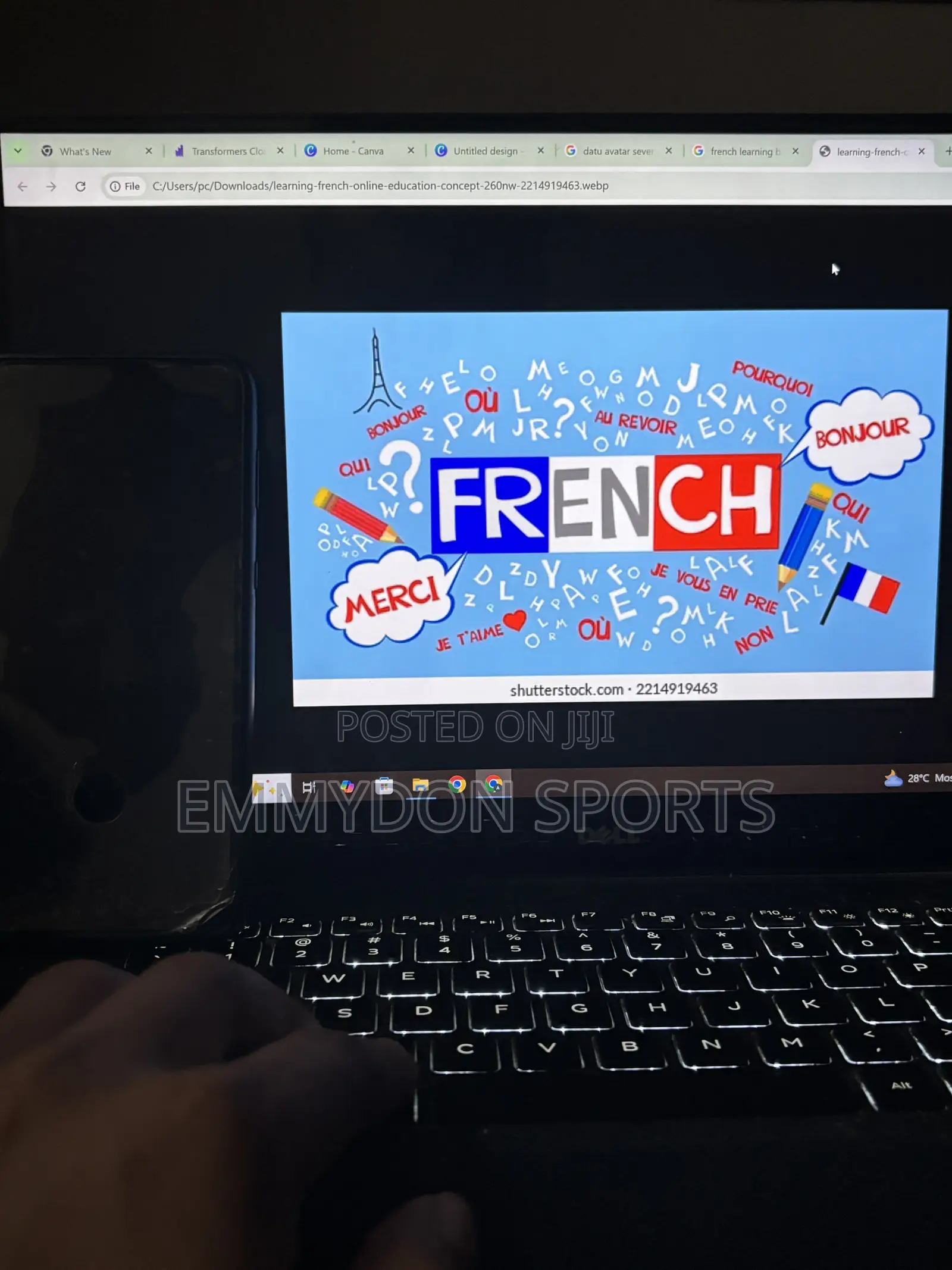 French Tutor / French Language
