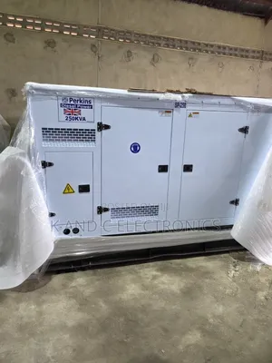 Best Deal 250kVA Perkins Diesel Generator  Copper Coil
