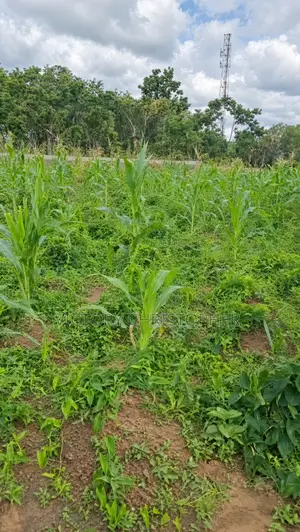 1000sqm Residential Land