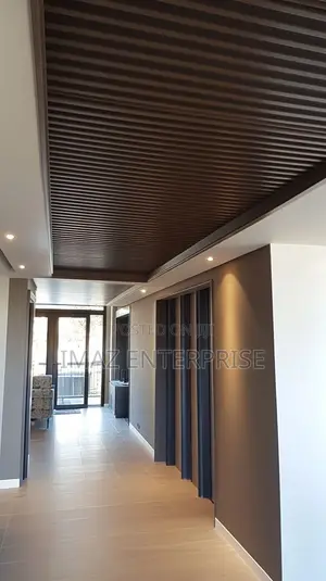 Acoustic Baffle Ceiling
