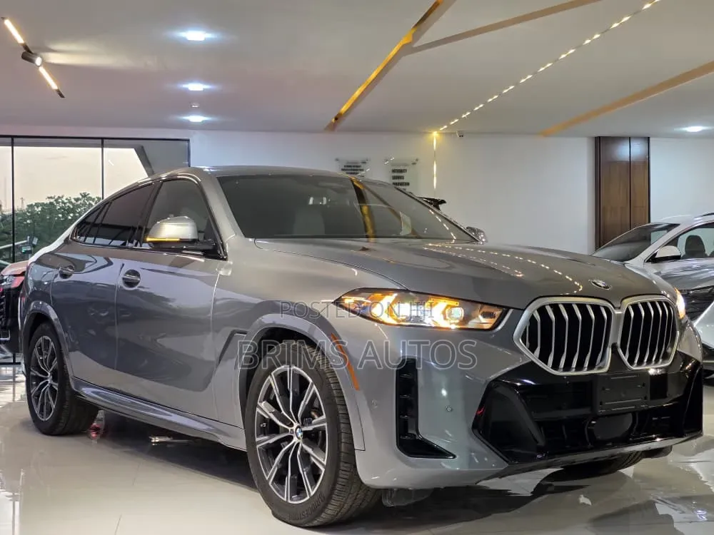 New BMW X6 2025 Gray