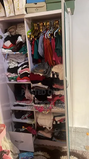 Wardrobe Plus Mirror