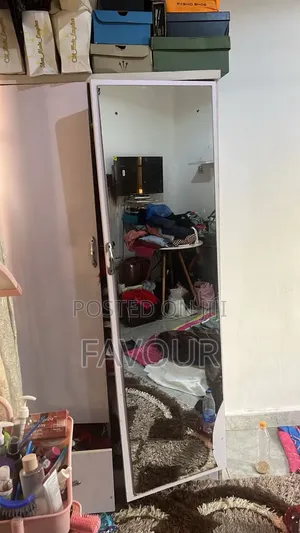Wardrobe Plus Mirror