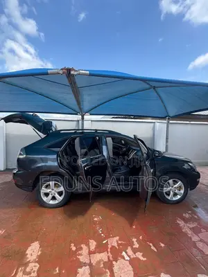 Lexus RX 330 2004 Gray