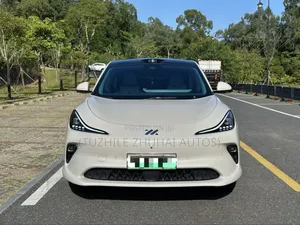 Car 2025 Off white